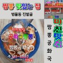 짬뽕공화국 이미지