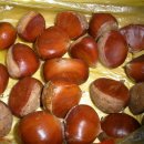 고자리마을회관 이미지