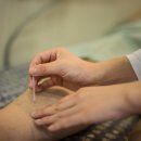 생명나무한의원 이미지