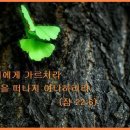 주일산업 이미지