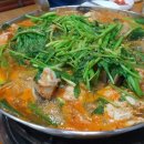 현대물텀벙이 이미지