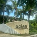 레아네팜 이미지