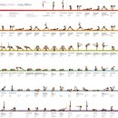 요가테스 B 이미지