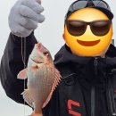 어초 | 제주도여행/선상체험낚시 희성호 7.93톤 타고 즐긴 제주 심해어초낚시 후기🌊