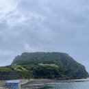 오소록하우스 | 제주도 쉐어하우스 일주일살기 오소록 쉐어하우스 오션뷰 후기