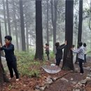 백운산 자연휴양림 야영장 네이버블로그