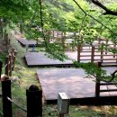 소선암오토캠핑장 이미지