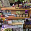 배불뚜기 이미지