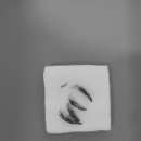 문정탑동물병원 이미지