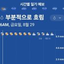 그린월드 이미지