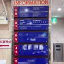 여의도성인바이올린 밋뮤직음악학원 레슨 후기