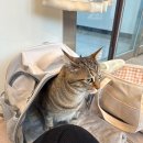 그루머스 스튜디오 이미지