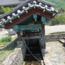 장흥군 보림사 Daum카페