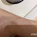 6846 | 아기 이유식 준비 닌자 초퍼 구매 내돈내산 찐 사용 후기