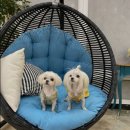 한신더휴1차 앞(2) 이미지