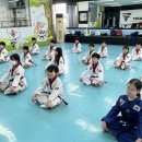 용인대 한미태권도 이미지