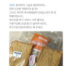 보또보