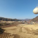 청림골차마실