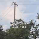 호그니하우스