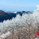 오서산산촌생태마을 이미지