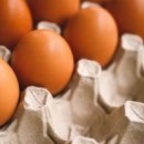 웅짐피트니스 이미지