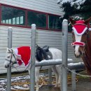 대로목장 이미지