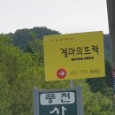 젬마의뜨락