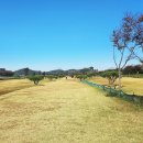 상주 사서 전식 신도비 이미지