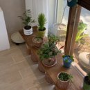 사파동249 이미지