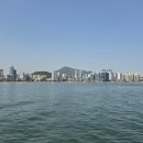 위드모아 | 5월 아이와 함께 부산 광안리 요트투어 "위드요트" 주간 이용 후기, 대마도까지 보인 역대급 날씨 !!