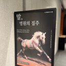 영원청과