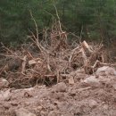 부경 태양광발전소 이미지