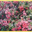 갯벌생태 체험장 이미지