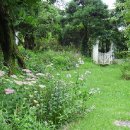 비밀의화원 이미지