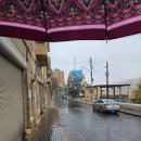 JD호스텔 | [무지성대륙횡단모험 #15화_상편] 🇯🇴 요르단