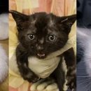 어울림공원 4 화장실 이미지