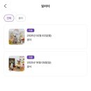 룰루애견미용샵