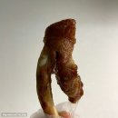 닥엔돈스식당 | 전대맛집 '닥엔돈스 전남대점' 쪽갈비 포장 후기