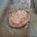 보드레 펜션 이미지