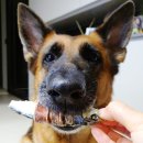 찹찹테이블 이미지