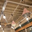 옐로우라이트하우스 이미지