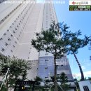 도호1길R 이미지