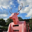 장수밥상 | 볼만 한 곳] 마인크래프트 물놀이터/ 장수누리파크 동물 카라반/ 장수밥상 한식뷔페 내돈내산 솔직 후기 :)