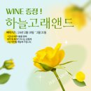 하늘고래앤드 이미지
