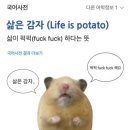 수원시 팔달구 정조로906번길 이미지