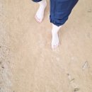 금릉소공원 이미지