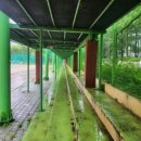 평촌중학교 앞 이미지