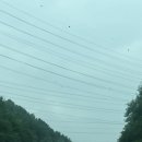 그냥 심심해서요. (52106) 전선의 명암 이미지