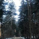 대관령 지니하우스 이미지