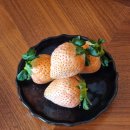 (주)공지닷컴 | 후쿠오카 호텔 추천, 그랜드 하얏트 스위트룸 후기 (라운지 조식 카이센동 미쳤다)